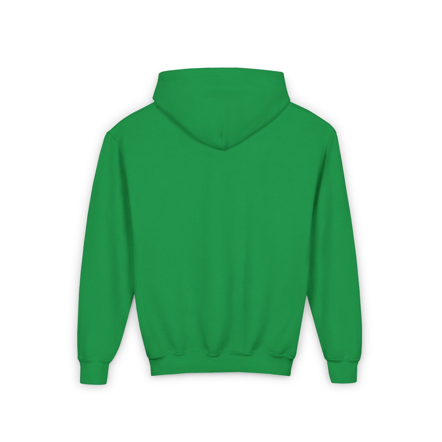 Davis Irish Youth Heavy Blend Hooded Sweatshirt